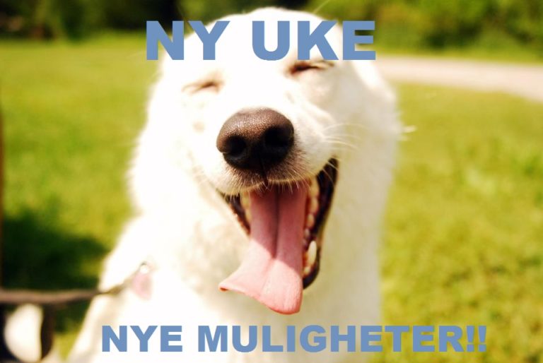 Ny Uke, nye muligheter