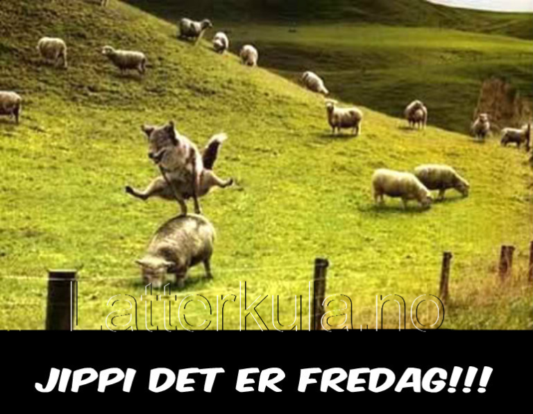 Jippi det er fredag :)