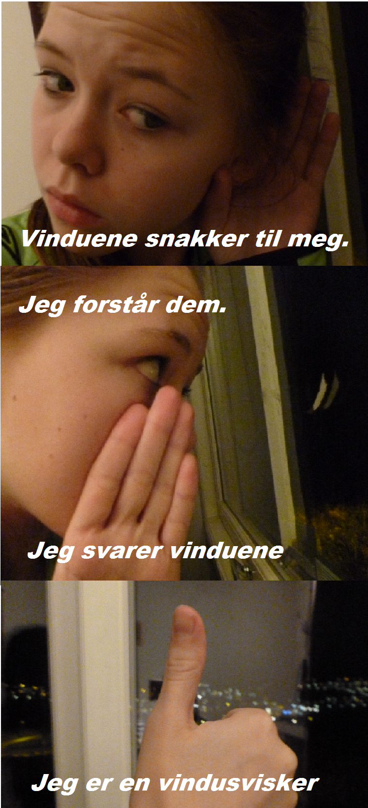 Vindusvirsker