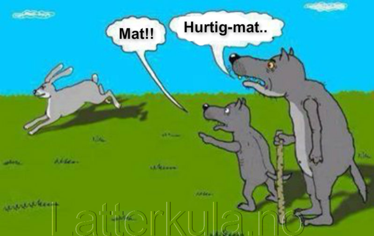 Hurtigmat!