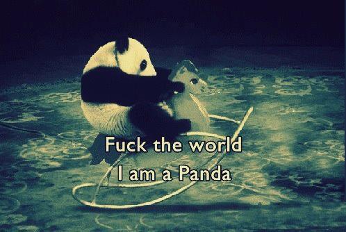 Im a panda