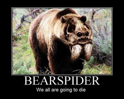 Bearspider